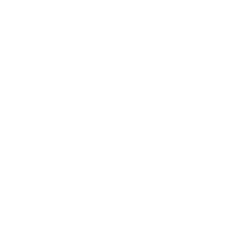 NOEMAC Logo